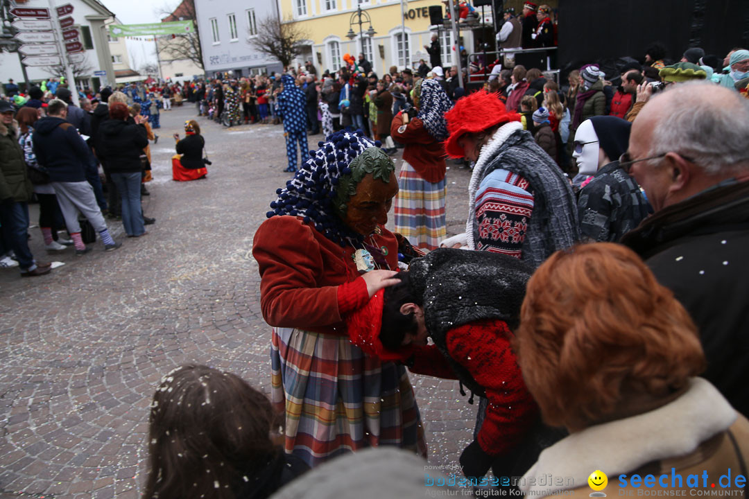 Narrensprung: Langenargen am Bodensee, 19.01.2014