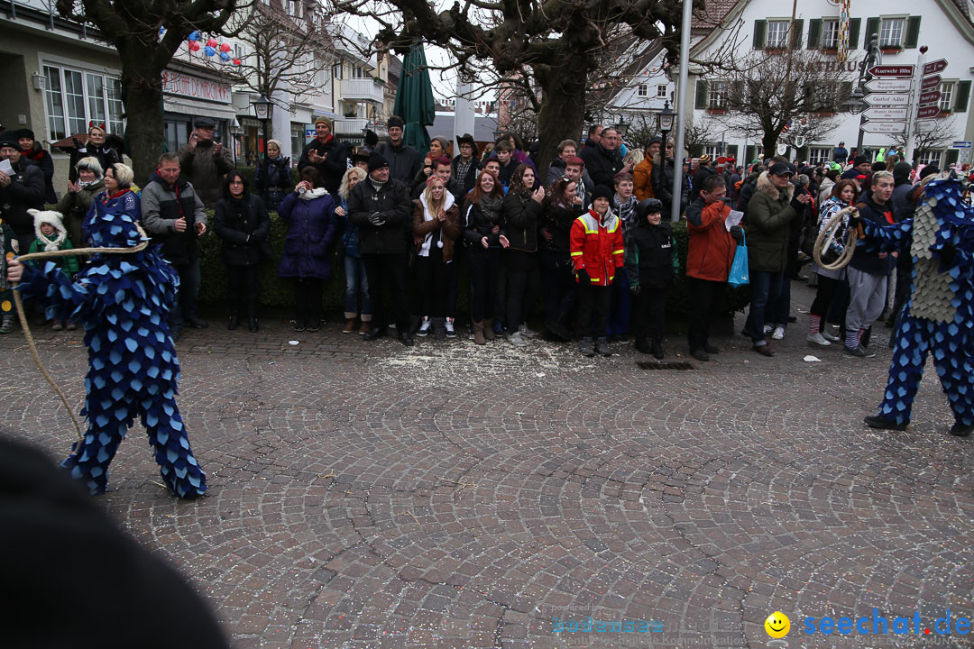 Narrensprung: Langenargen am Bodensee, 19.01.2014