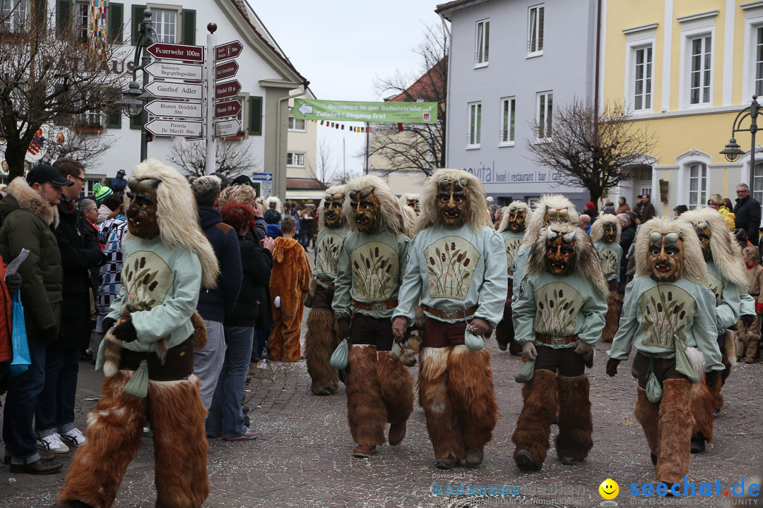 Narrensprung: Langenargen am Bodensee, 19.01.2014