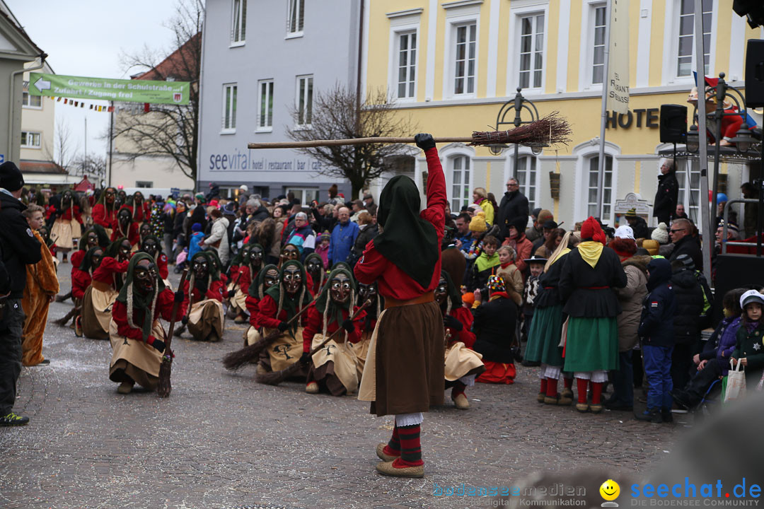 Narrensprung: Langenargen am Bodensee, 19.01.2014