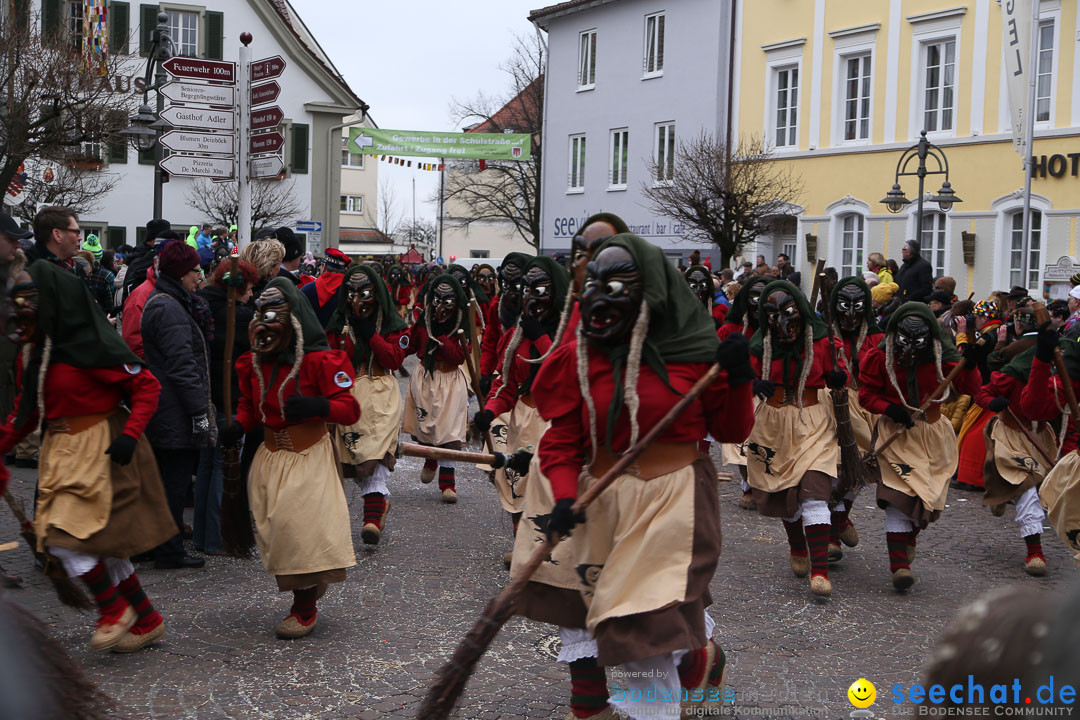 Narrensprung: Langenargen am Bodensee, 19.01.2014