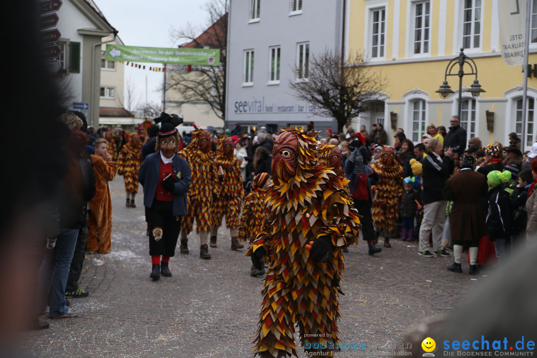 Narrensprung: Langenargen am Bodensee, 19.01.2014
