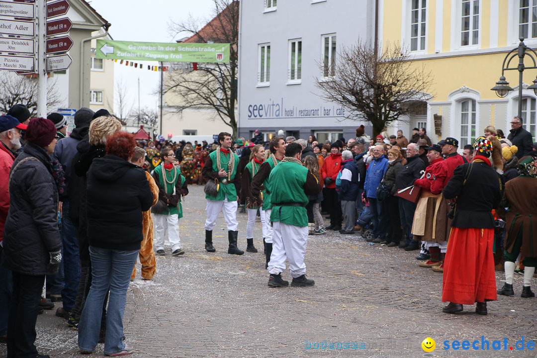 Narrensprung: Langenargen am Bodensee, 19.01.2014