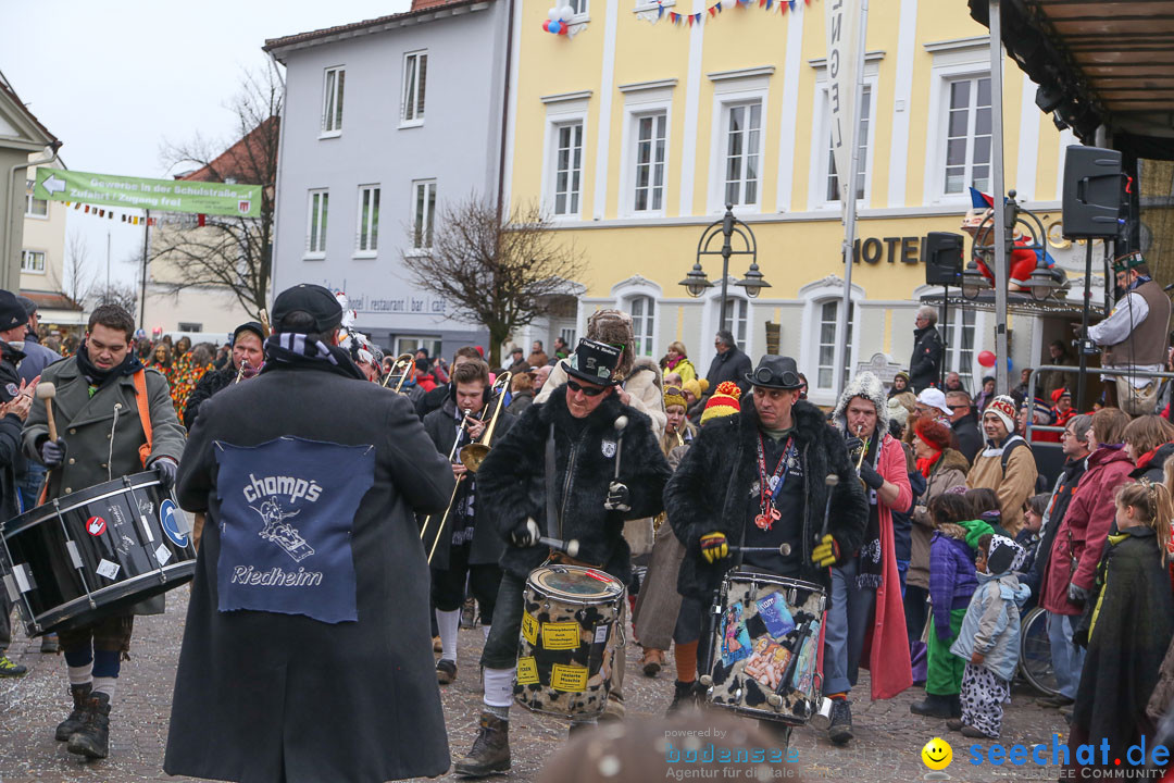 Narrensprung: Langenargen am Bodensee, 19.01.2014