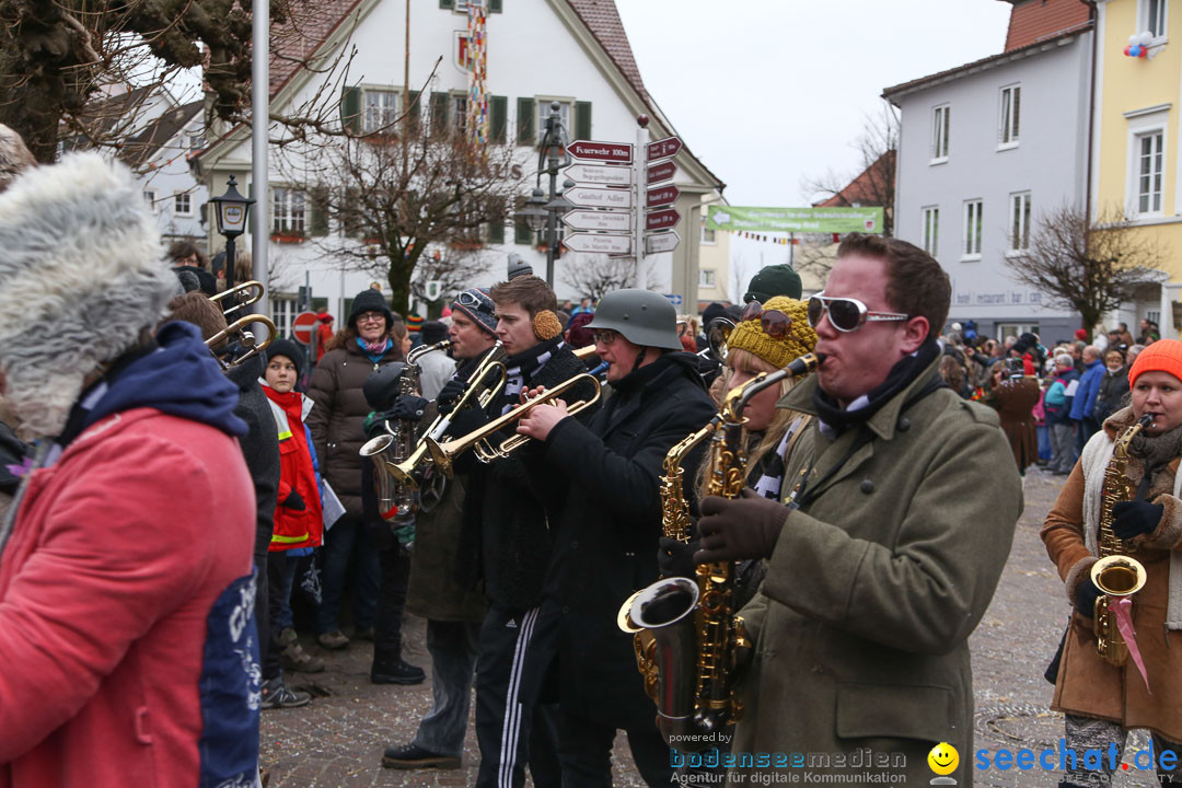 Narrensprung: Langenargen am Bodensee, 19.01.2014