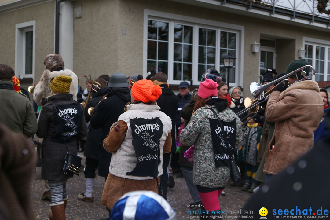 Narrensprung: Langenargen am Bodensee, 19.01.2014