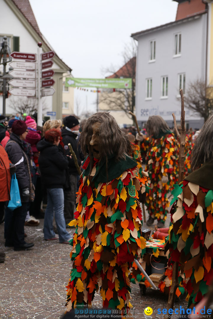 Narrensprung: Langenargen am Bodensee, 19.01.2014