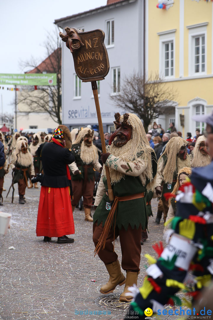 Narrensprung: Langenargen am Bodensee, 19.01.2014