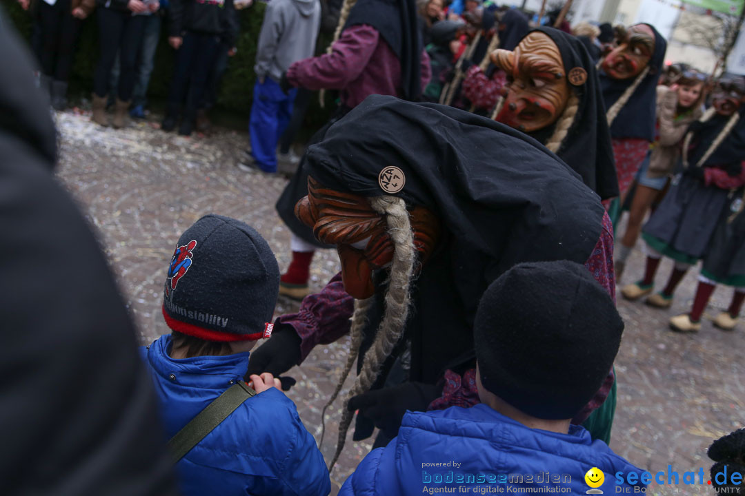 Narrensprung: Langenargen am Bodensee, 19.01.2014