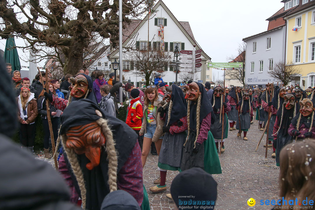 Narrensprung: Langenargen am Bodensee, 19.01.2014