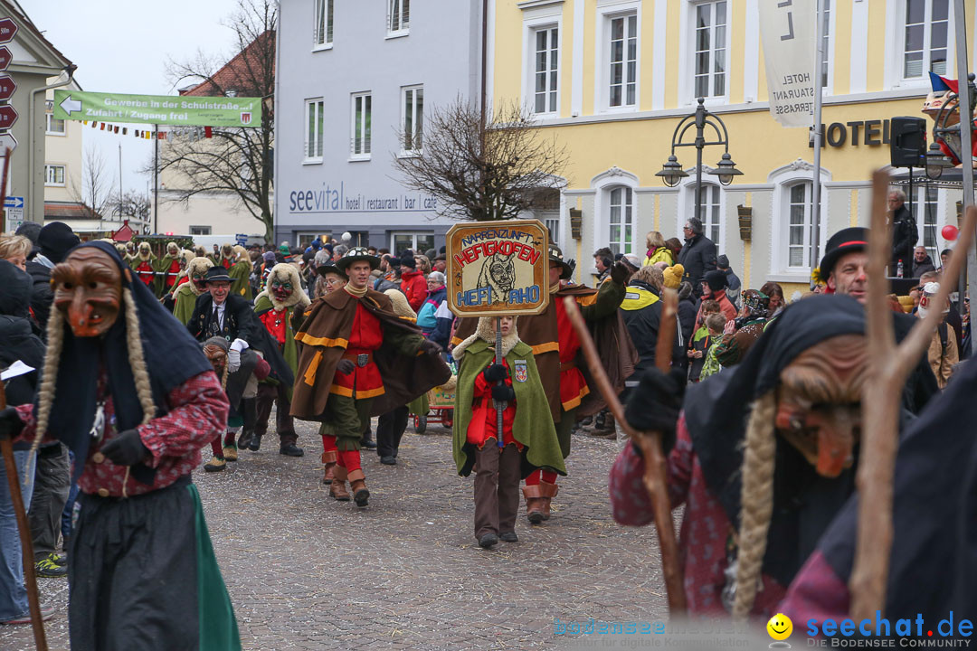 Narrensprung: Langenargen am Bodensee, 19.01.2014