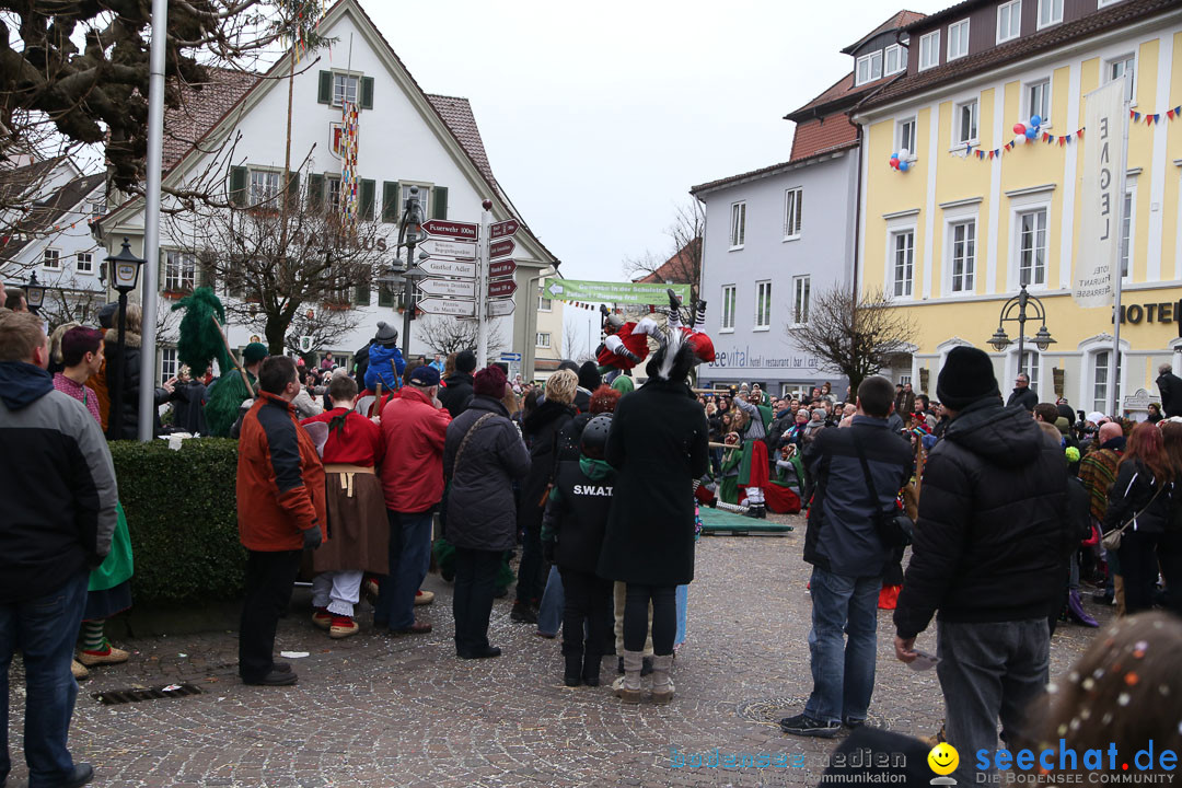 Narrensprung: Langenargen am Bodensee, 19.01.2014