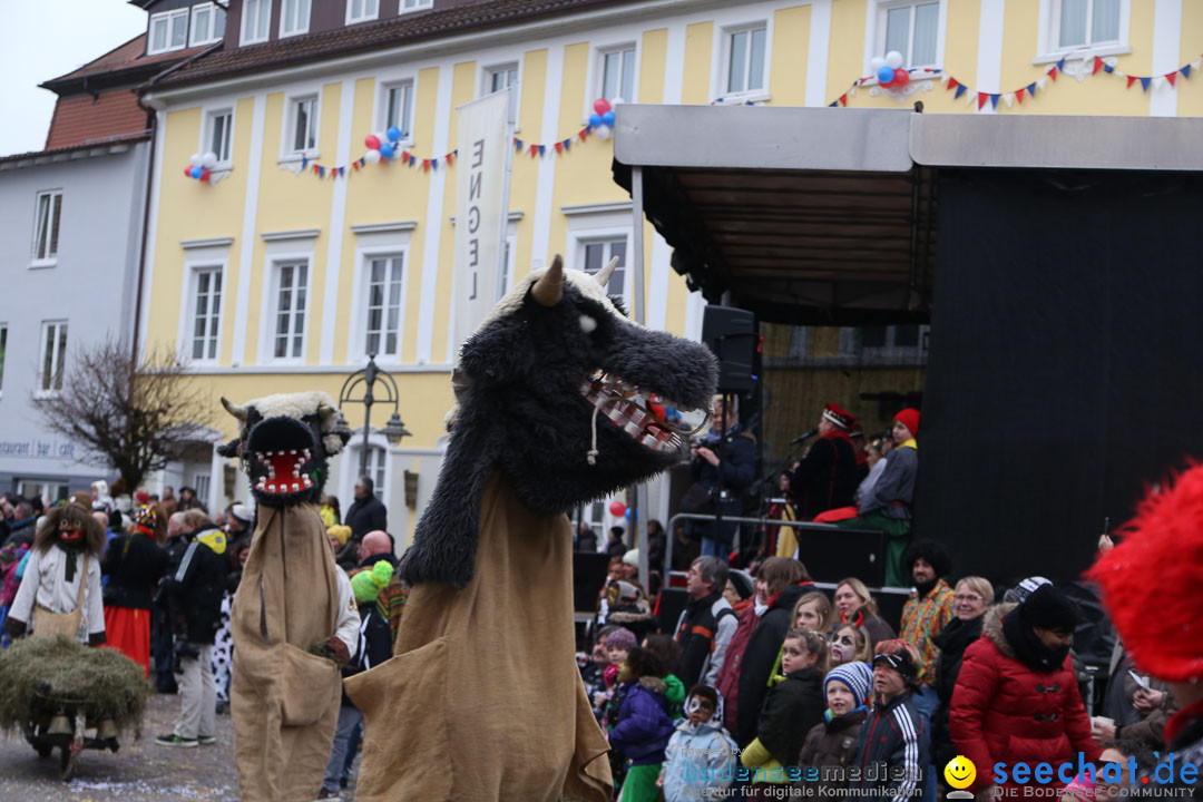 Narrensprung: Langenargen am Bodensee, 19.01.2014