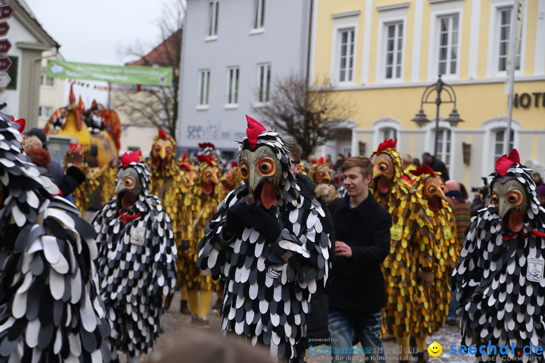 Narrensprung: Langenargen am Bodensee, 19.01.2014