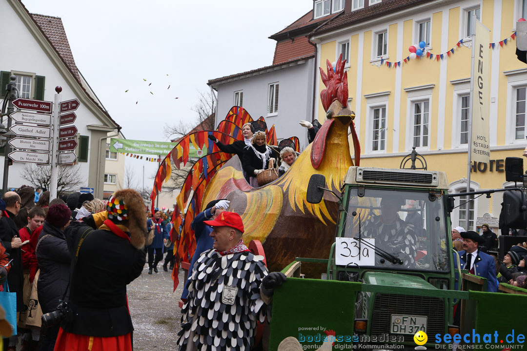 Narrensprung: Langenargen am Bodensee, 19.01.2014