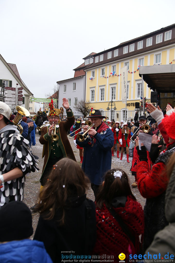 Narrensprung: Langenargen am Bodensee, 19.01.2014