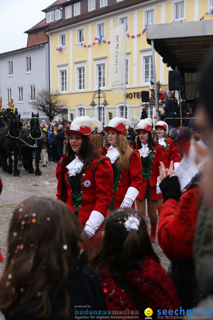 Narrensprung: Langenargen am Bodensee, 19.01.2014