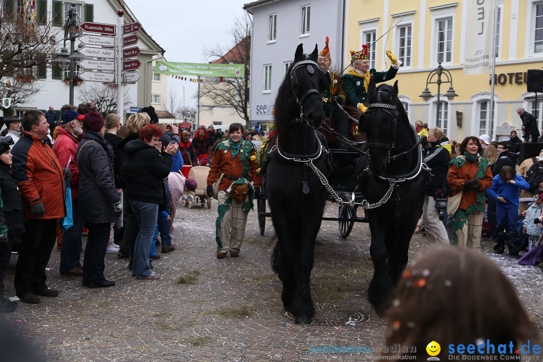 Narrensprung: Langenargen am Bodensee, 19.01.2014
