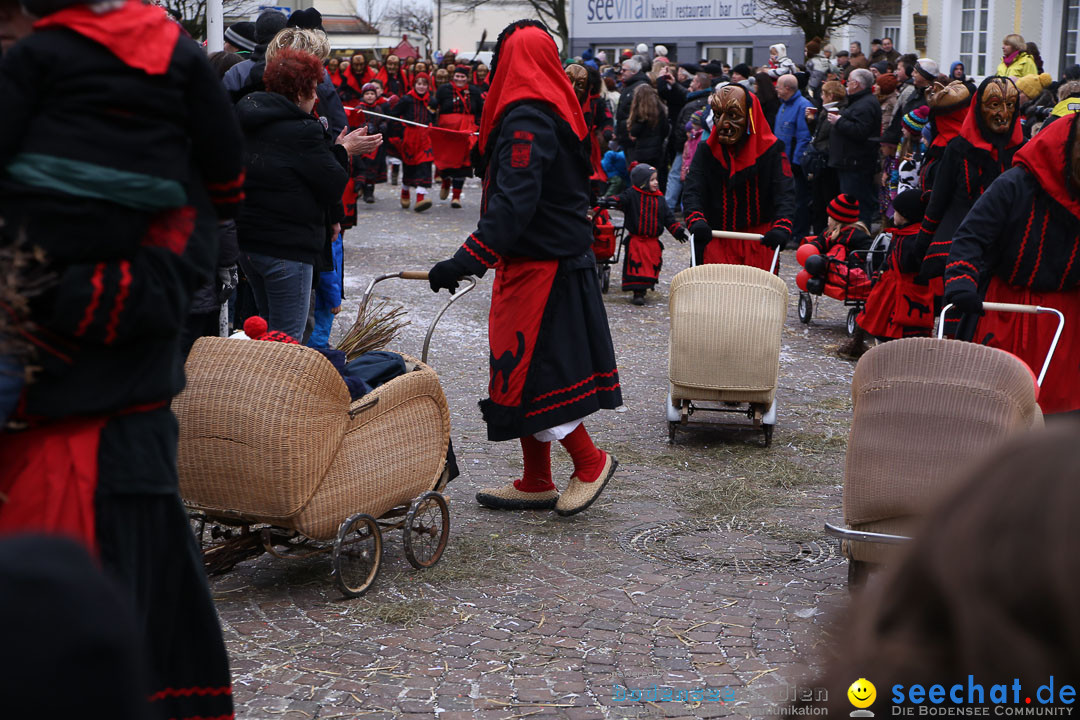 Narrensprung: Langenargen am Bodensee, 19.01.2014