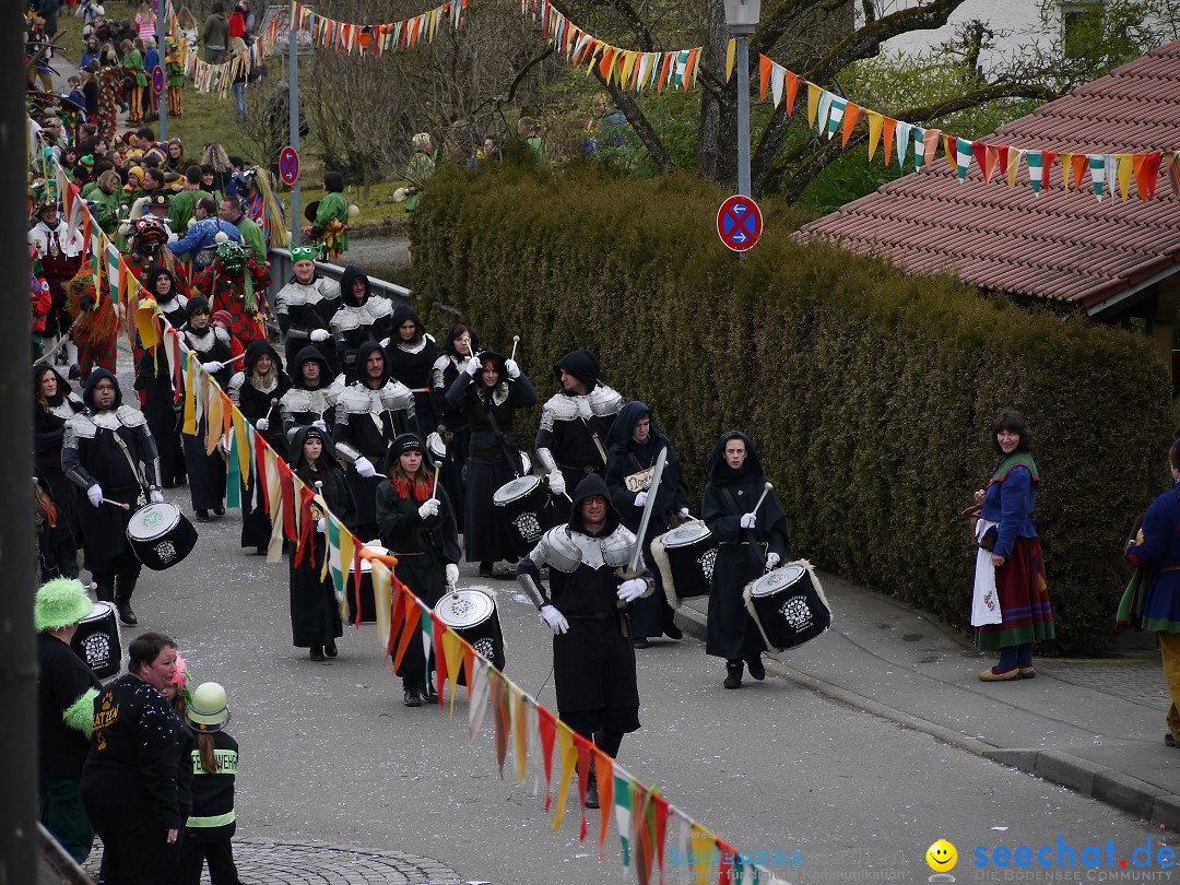 Faschingsumzug: Wasserburg am Bodensee, 08.02.2014