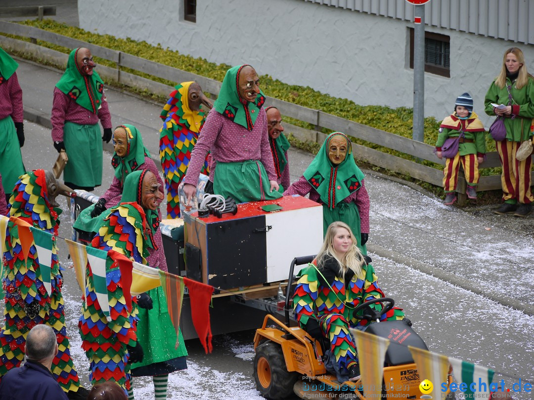 Faschingsumzug: Wasserburg am Bodensee, 08.02.2014