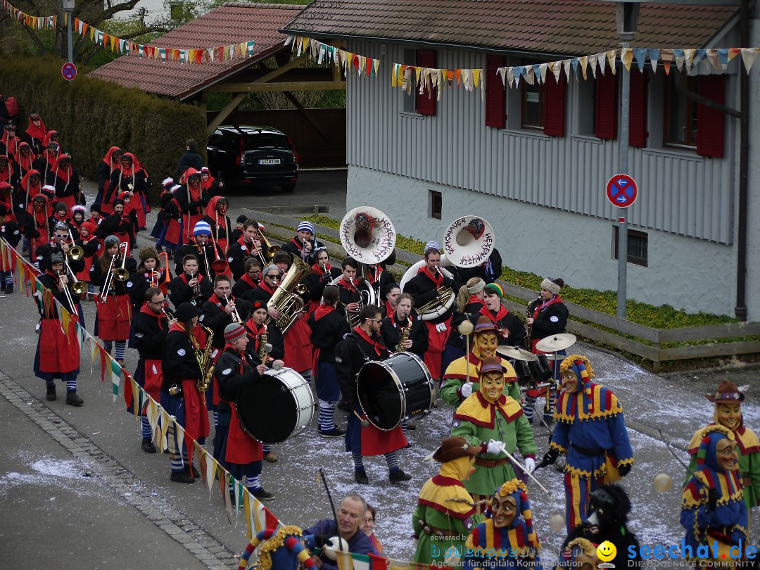 Faschingsumzug: Wasserburg am Bodensee, 08.02.2014