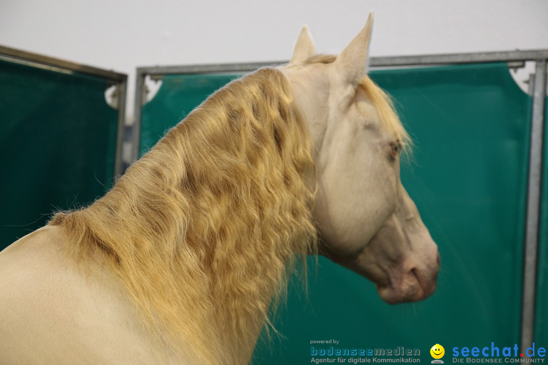 PFERD BODENSEE - Messe Friedrichshafen am Bodensee, 14.02.2014