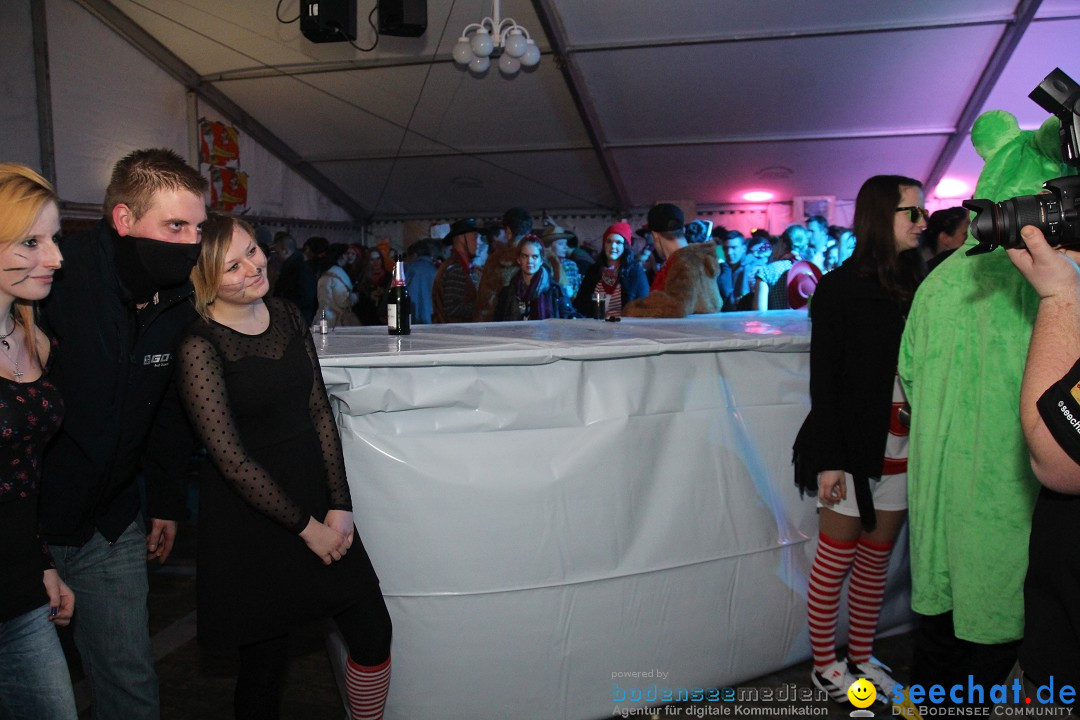 Narrentreffen - Narrentage in Orsingen-Nenzingen am Bodensee, 15.02.2014