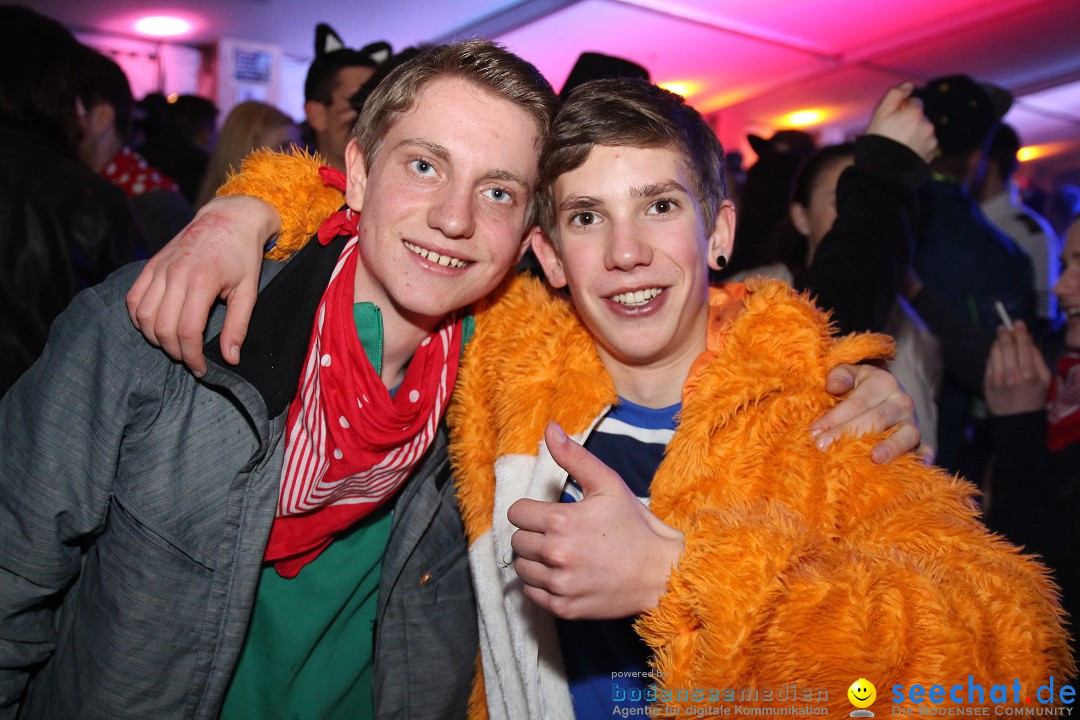 Narrentreffen - Narrentage in Orsingen-Nenzingen am Bodensee, 15.02.2014