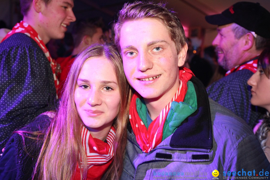 Narrentreffen - Narrentage in Orsingen-Nenzingen am Bodensee, 15.02.2014