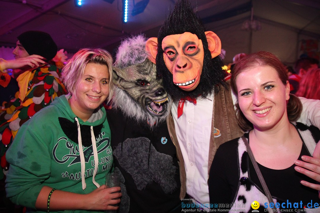 Narrentreffen - Narrentage in Orsingen-Nenzingen am Bodensee, 15.02.2014