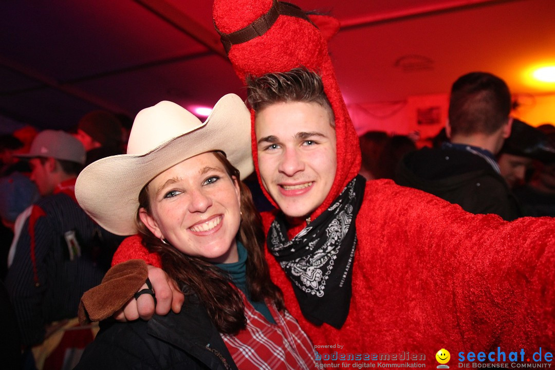 Narrentreffen - Narrentage in Orsingen-Nenzingen am Bodensee, 15.02.2014