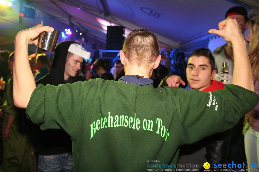Narrentreffen - Narrentage in Orsingen-Nenzingen am Bodensee, 15.02.2014