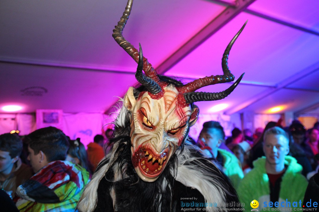 Narrentreffen - Narrentage in Orsingen-Nenzingen am Bodensee, 15.02.2014