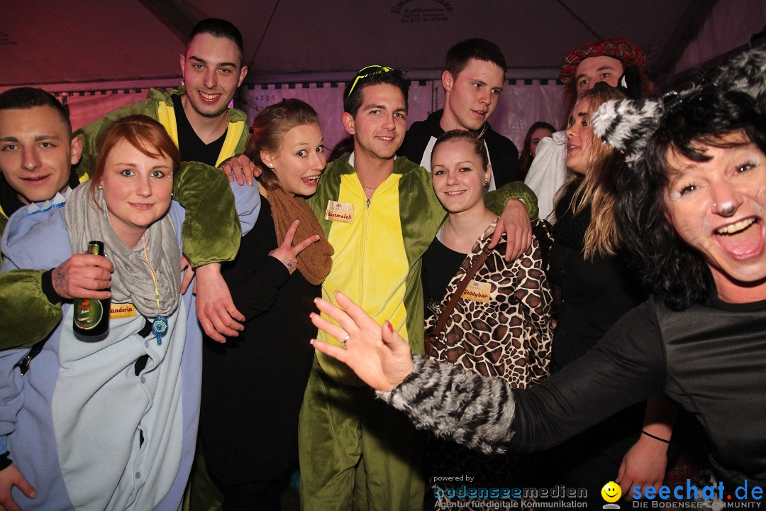 Narrentreffen - Narrentage in Orsingen-Nenzingen am Bodensee, 15.02.2014