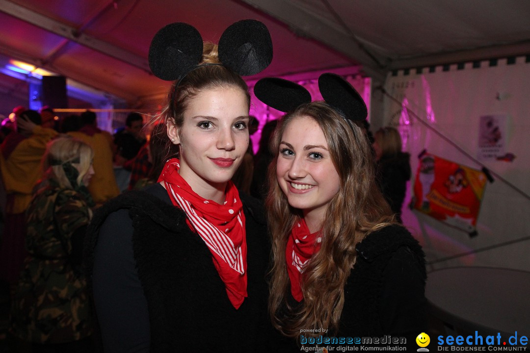 Narrentreffen - Narrentage in Orsingen-Nenzingen am Bodensee, 15.02.2014
