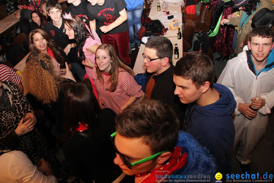 Narrentreffen - Narrentage in Orsingen-Nenzingen am Bodensee, 15.02.2014