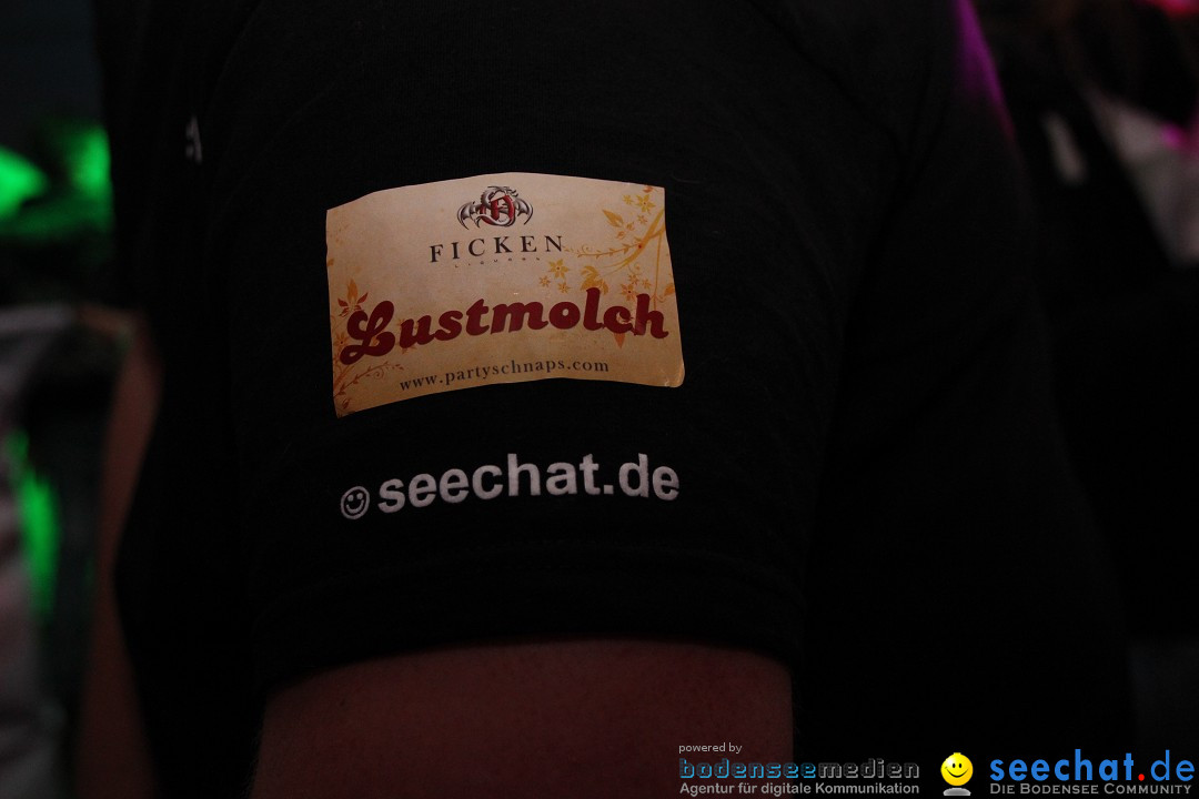 Narrentreffen - Narrentage in Orsingen-Nenzingen am Bodensee, 15.02.2014