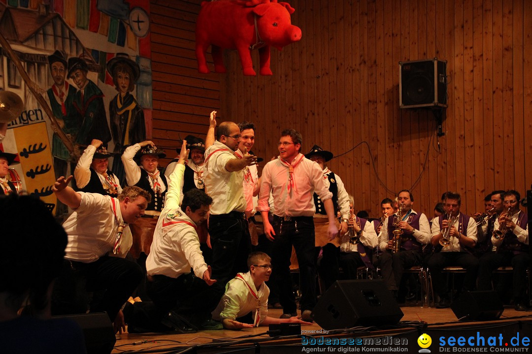 Narrentreffen - Narrentage in Orsingen-Nenzingen am Bodensee, 15.02.2014