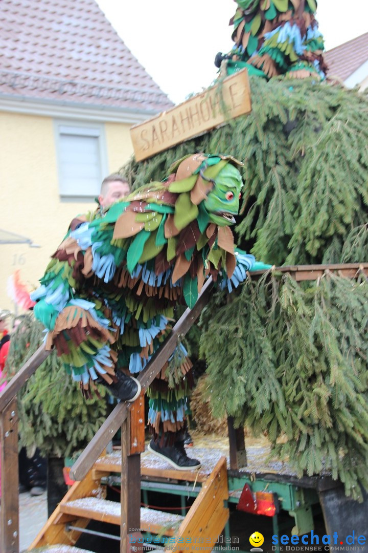 Narrenumzug - Fasnet Narrentage: Nenzingen am Bodensee, 15.02.2014