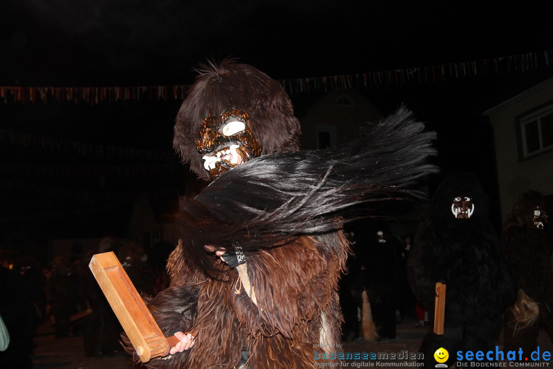 Nachtumzug - Narrentage in Orsingen-Nenzingen am Bodensee, 14.02.2014