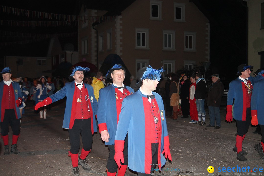 Nachtumzug - Narrentage in Orsingen-Nenzingen am Bodensee, 14.02.2014