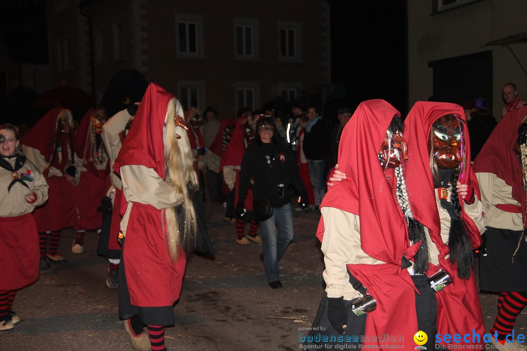 Nachtumzug - Narrentage in Orsingen-Nenzingen am Bodensee, 14.02.2014