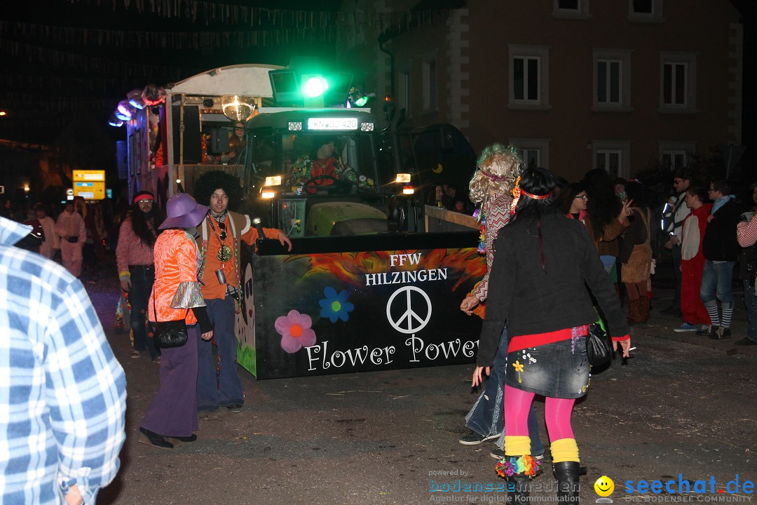 Nachtumzug - Narrentage in Orsingen-Nenzingen am Bodensee, 14.02.2014