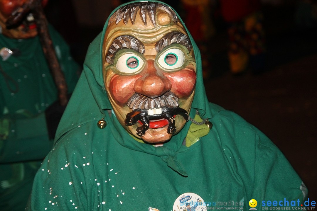 Nachtumzug - Narrentage in Orsingen-Nenzingen am Bodensee, 14.02.2014