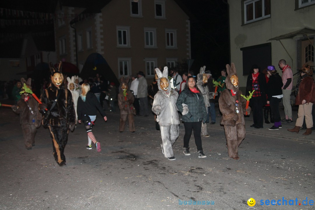 Nachtumzug - Narrentage in Orsingen-Nenzingen am Bodensee, 14.02.2014