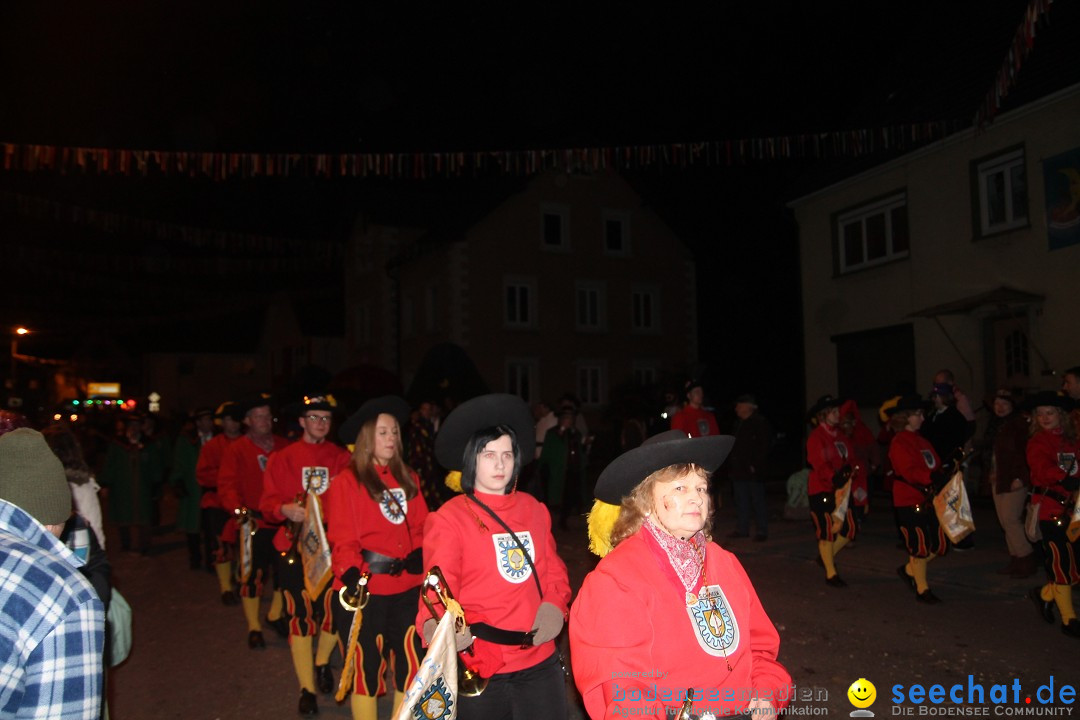 Nachtumzug - Narrentage in Orsingen-Nenzingen am Bodensee, 14.02.2014