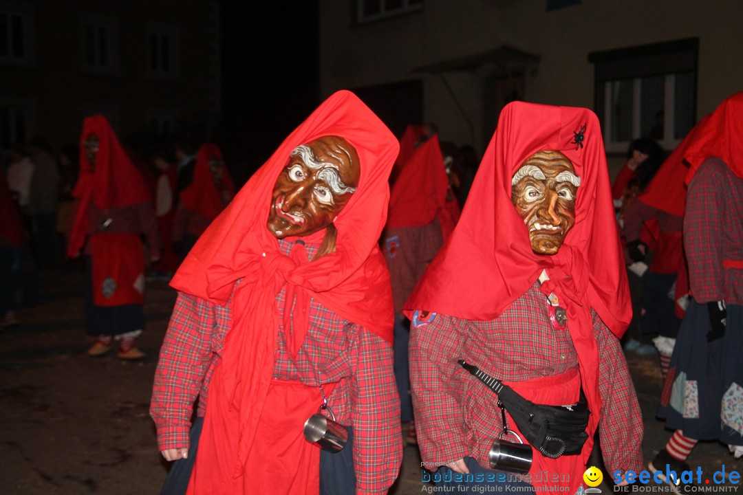 Nachtumzug - Narrentage in Orsingen-Nenzingen am Bodensee, 14.02.2014