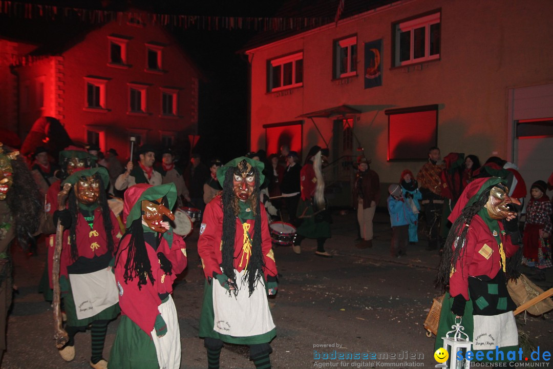 Nachtumzug - Narrentage in Orsingen-Nenzingen am Bodensee, 14.02.2014
