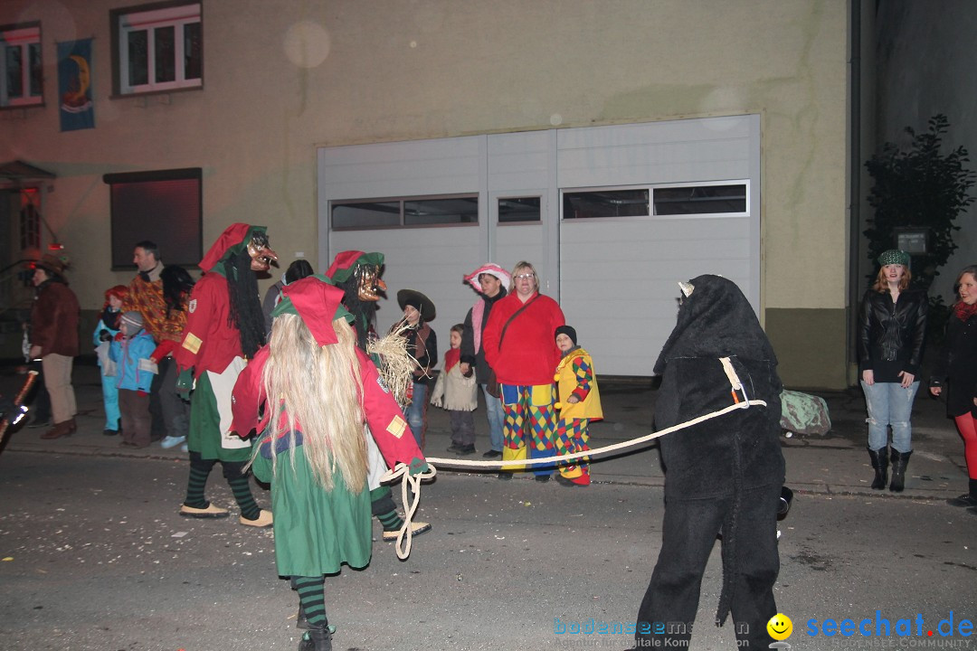 Nachtumzug - Narrentage in Orsingen-Nenzingen am Bodensee, 14.02.2014
